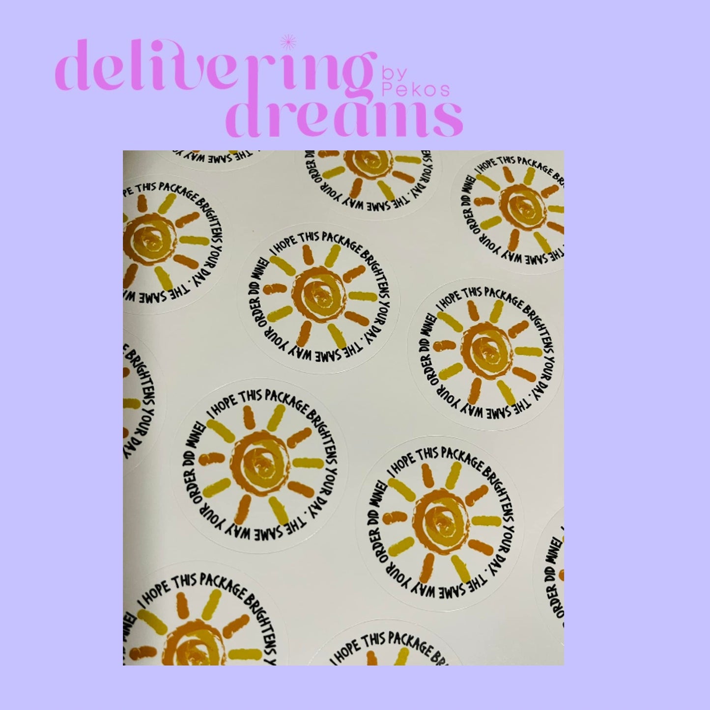 I Hope this Package Brights Your Day - Paquete de 10 stickers