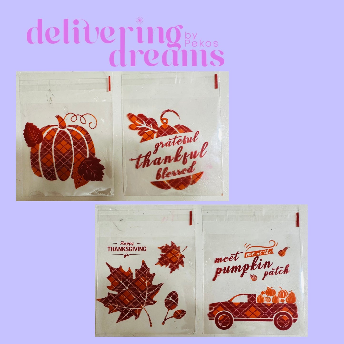 Celofán Thanksgiving Bags 3.9 x 5” - Paquete de 16 bolsitas