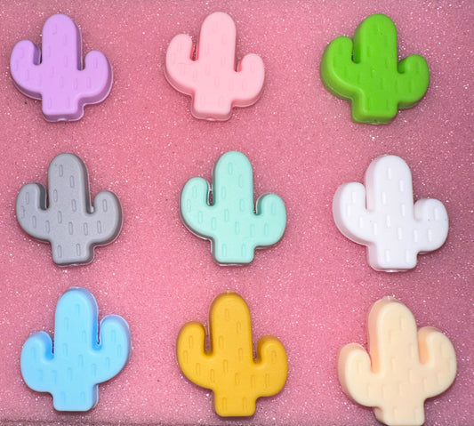 Cactus (se envían en colores surtidos)