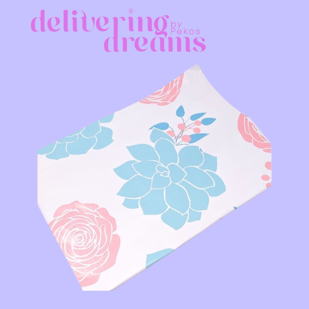 Suculentas 19 x 24 - Paquete de 10