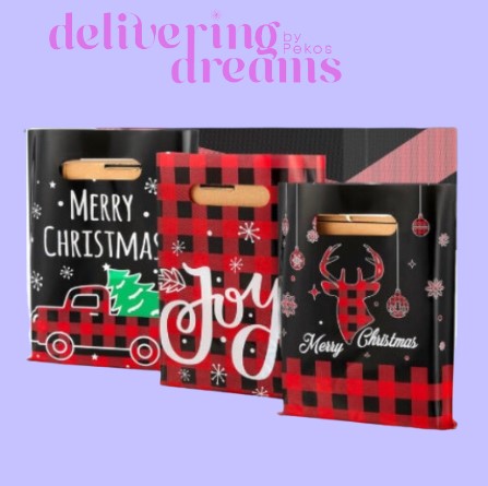 Bolsas de Entrega (Navidad)