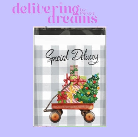 Special Delivery 10 x 13 - Paquete de 10