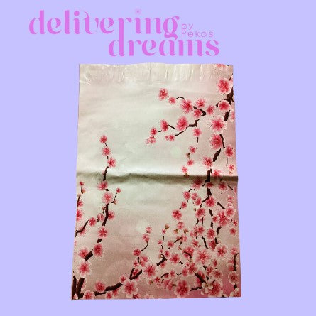 Spring 2 - Paquete de 10 y 25 - Tamaño 10 x 13