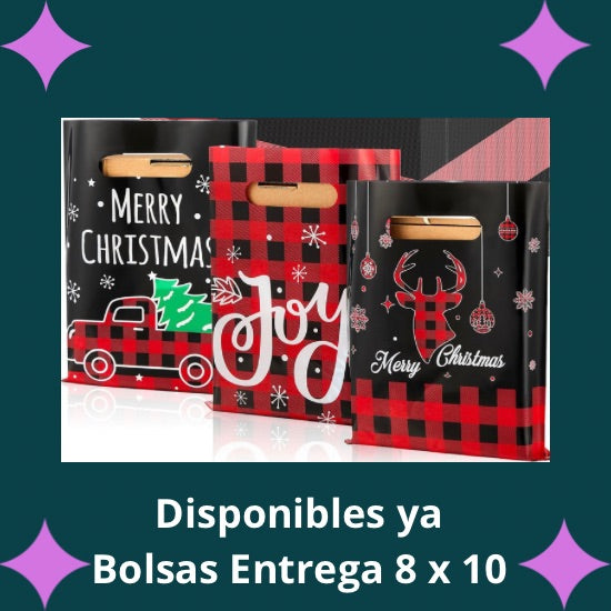 Bolsas de Entrega (Navidad)