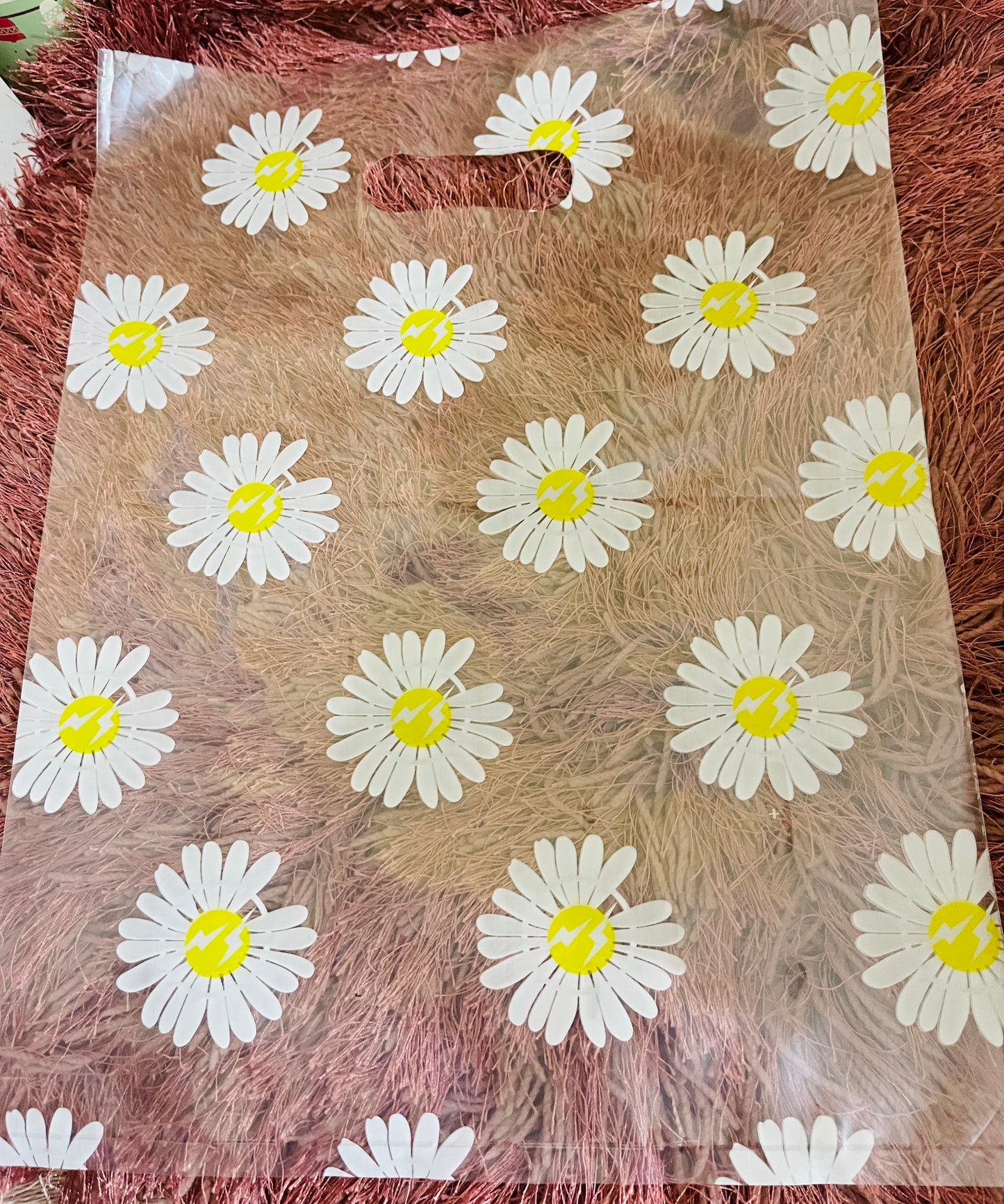 Daisys Clear Bag 12 x 15